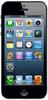 Смартфон Apple iPhone 5 16Gb Black & Slate - Павловск