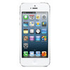 Apple iPhone 5 16Gb white - Павловск