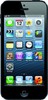Apple iPhone 5 64GB - Павловск